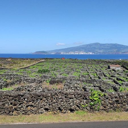 Casa da Ilha Madalena (Azores) Exterior foto
